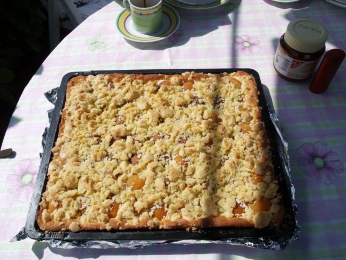 Aprikosen- Streuselkuchen - Rezept - Bild Nr. 2