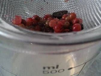 Putenfilet an Vanillepfefferbirnensosse à la Biggi - Rezept - Bild Nr. 25