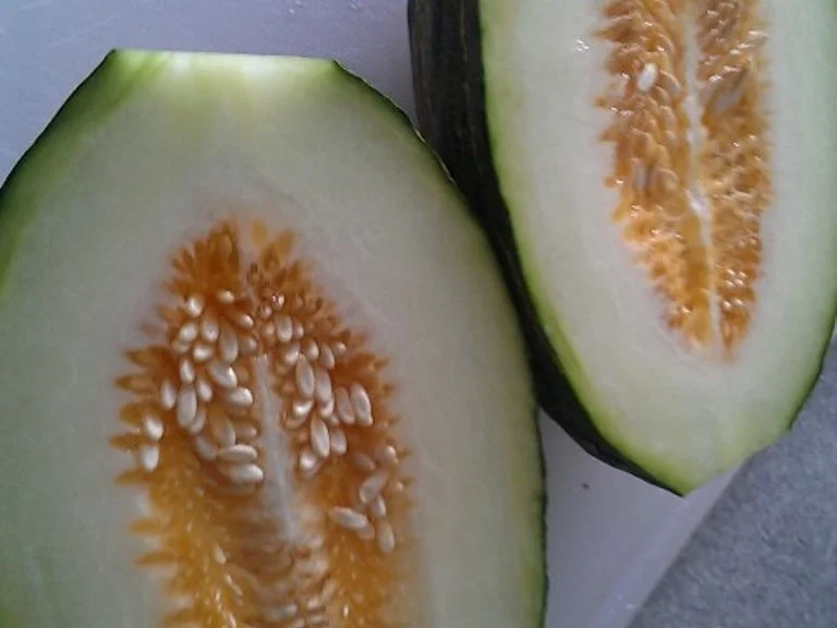 Rezept: Melone mit Marzipan Teig Stritzel Bild Nr. 12 Melone mit Marzipan Teig Stritzel - Rezept - Bild Nr. 12