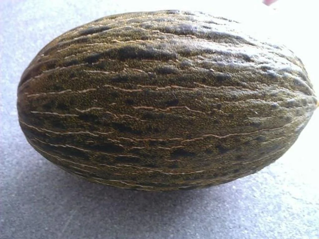 Rezept: Melone mit Marzipan Teig Stritzel Bild Nr. 11 Melone mit Marzipan Teig Stritzel - Rezept - Bild Nr. 11