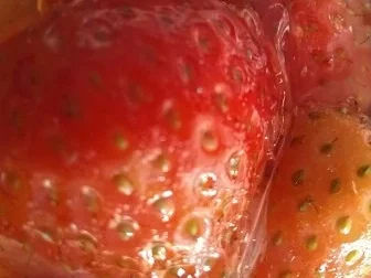 Rezept: WM Obstschnitten (Deutschland) Bild Nr. 19 WM Obstschnitten (Deutschland) - Rezept - Bild Nr. 19