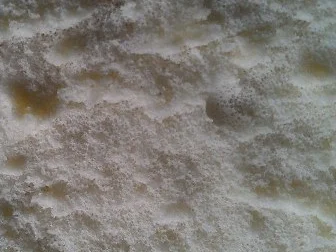 Rezept: WM Obstschnitten (Deutschland) Bild Nr. 21 WM Obstschnitten (Deutschland) - Rezept - Bild Nr. 21