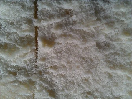 Rezept: WM Obstschnitten (Deutschland) Bild Nr. 24 WM Obstschnitten (Deutschland) - Rezept - Bild Nr. 24