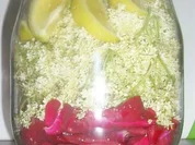 Sirup: Rosen + Holunderblüten - Rezept