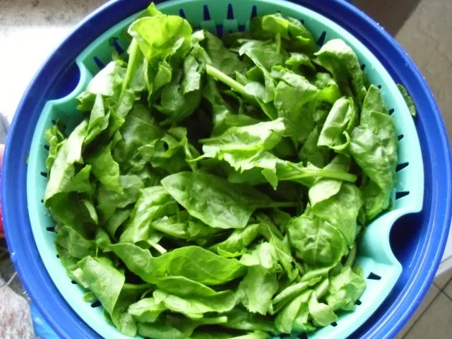 ♥ Spinat - Pizza ♥ - Rezept - Bild Nr. 5