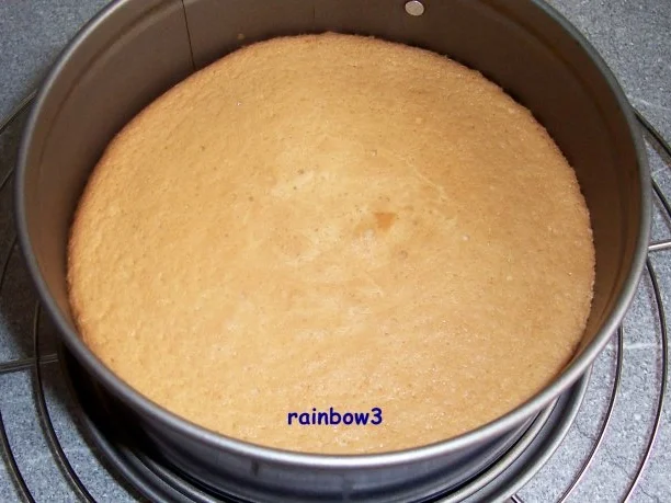 Rezept: Backen: Mini-Frischkäse-Joghurt-Torte Bild Nr. 3 Backen: Mini-Frischkäse-Joghurt-Torte - Rezept - Bild Nr. 3