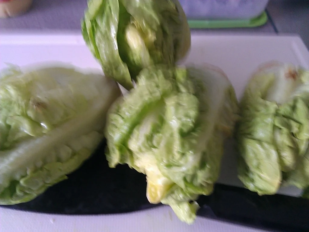 Mettwurst Kühlschrank UpDate à la Biggi - Rezept - Bild Nr. 14