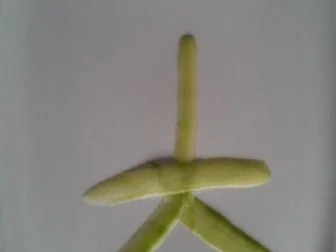 Gurke Röllchen mit Wasabicocktailsosse - Rezept - Bild Nr. 27