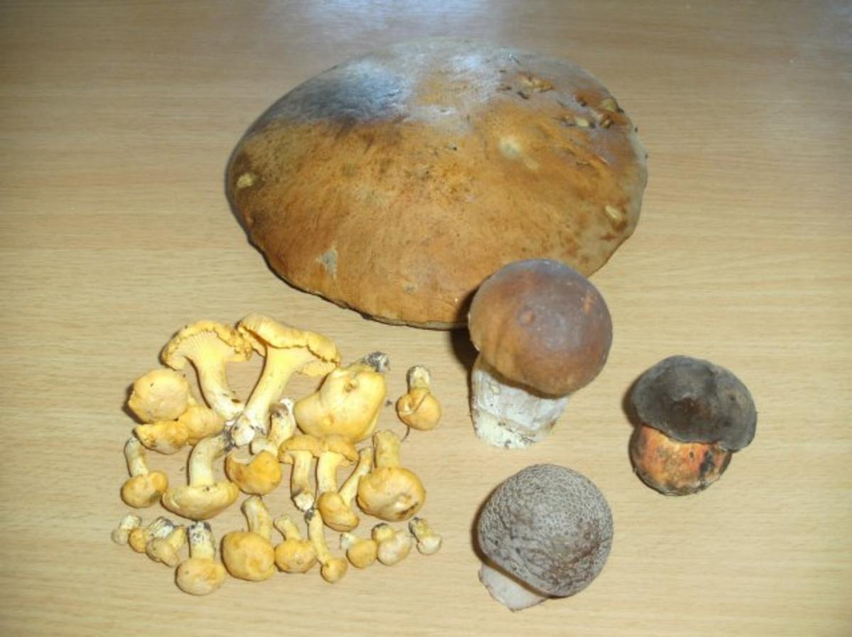 Pilze: Mischpilze klassisch - Rezept - Bild Nr. 2