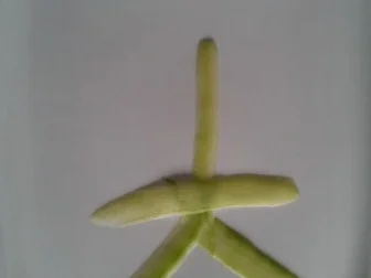 Lachs Röllchen mit selbst gebackenem Toastbrot à la Biggi - Rezept - Bild Nr. 27