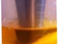 Wasabicocktailsosse - Rezept - Bild Nr. 10