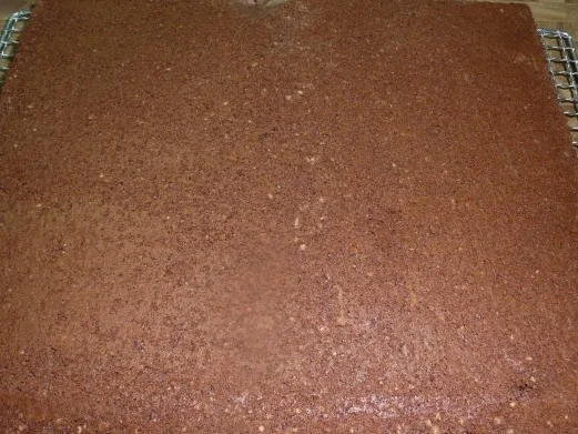 Rezept: Tiroler Nußkuchen Bild Nr. 7 Tiroler Nußkuchen - Rezept - Bild Nr. 7