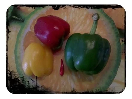 Hackfleisch: Hackfleischsoße â la Gudrun - Rezept - Bild Nr. 3