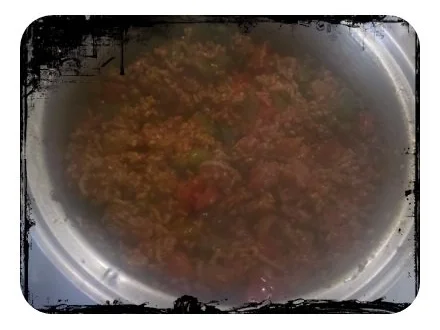 Hackfleisch: Hackfleischsoße â la Gudrun - Rezept - Bild Nr. 6