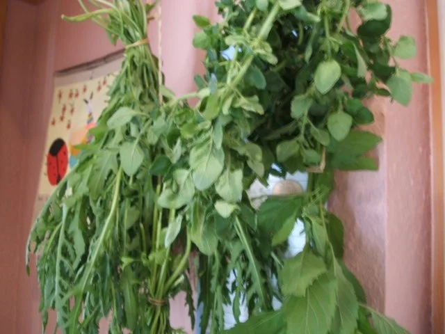 Rezept: Gewürzmischungen: Kräuter trocknen Bild Nr. 2 Gewürzmischungen: Kräuter trocknen - Rezept - Bild Nr. 2