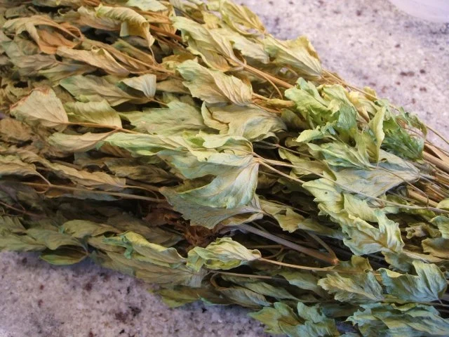 Rezept: Gewürzmischungen: Kräuter trocknen Bild Nr. 3 Gewürzmischungen: Kräuter trocknen - Rezept - Bild Nr. 3
