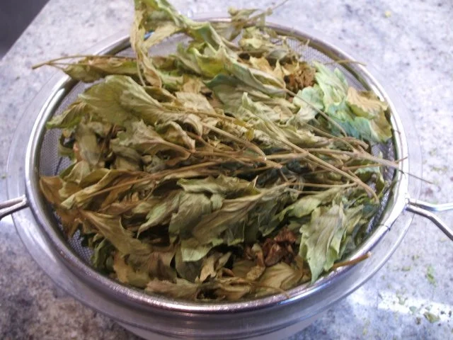 Rezept: Gewürzmischungen: Kräuter trocknen Bild Nr. 4 Gewürzmischungen: Kräuter trocknen - Rezept - Bild Nr. 4