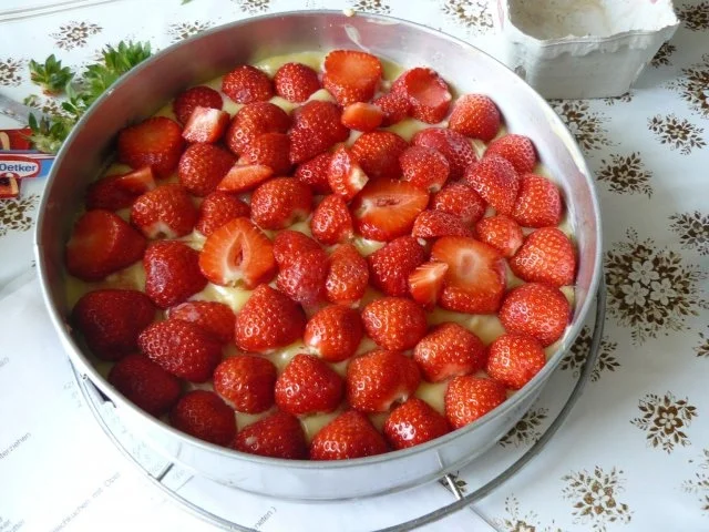 Rezept: Erdbeertorte Bild Nr. 7 Erdbeertorte - Rezept - Bild Nr. 7