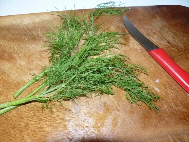 Rezept: Rotbarsch mit geschmorter Gurke Bild Nr. 7 Rotbarsch mit geschmorter Gurke - Rezept - Bild Nr. 7