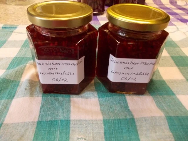 Johannisbeermarmelade mit Zitronenmelisse - Rezept