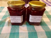 Johannisbeermarmelade mit Zitronenmelisse - Rezept