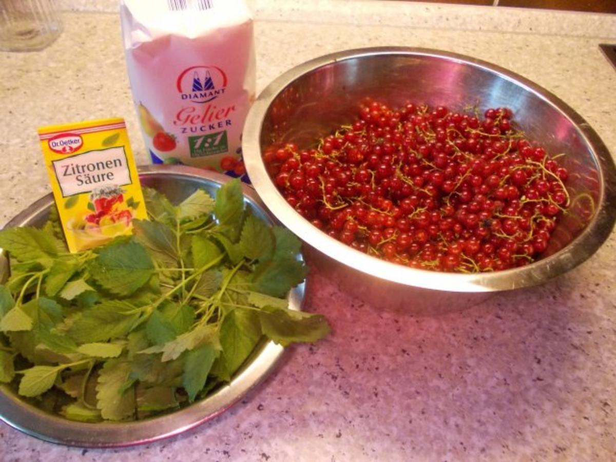 Johannisbeermarmelade mit Zitronenmelisse - einfach - 47 kcal/100g