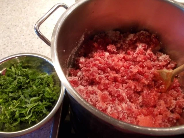 Johannisbeermarmelade mit Zitronenmelisse - Rezept - Bild Nr. 3