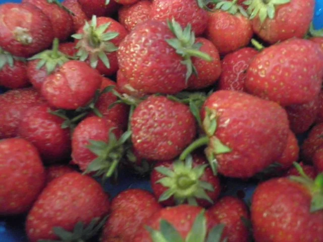 Erdbeer - Vanille - Konfitüre mit Chili und Schokolade - Rezept - Bild Nr. 2