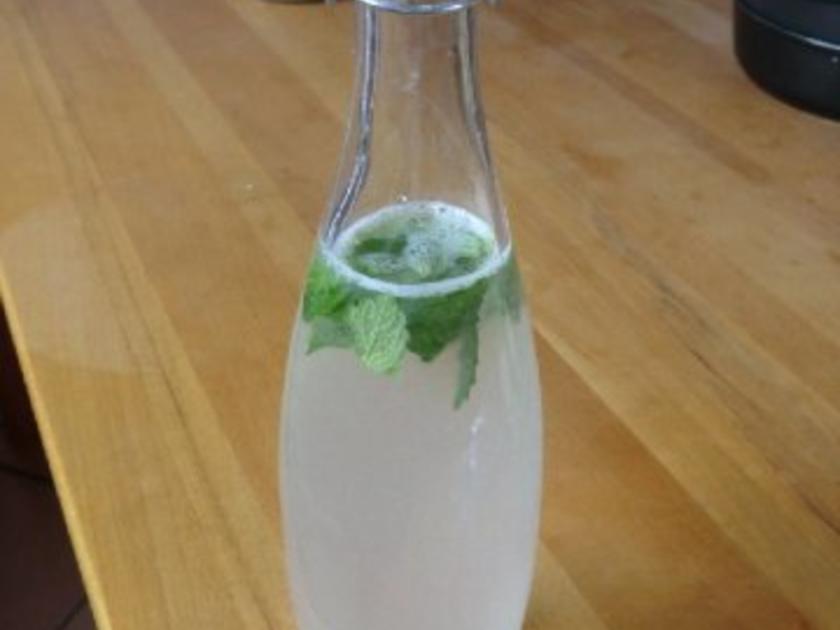 Hausgemachte Limonade - einfach - 6 kcal/100g
