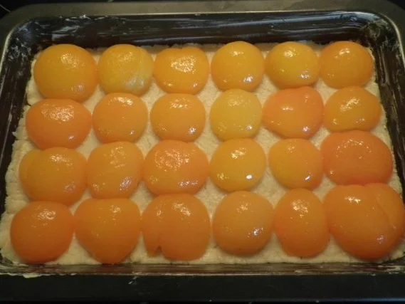 Kleiner Kokos - Aprikosen - Kuchen - Rezept - Bild Nr. 4