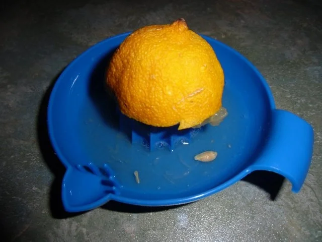 Rezept: Feines Geflügel-Creme-Süppchen Bild Nr. 7 Feines Geflügel-Creme-Süppchen - Rezept - Bild Nr. 7