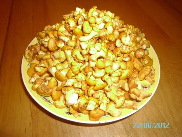 Eierschwammerlsoße mit Semmelknödel - Rezept - Bild Nr. 2