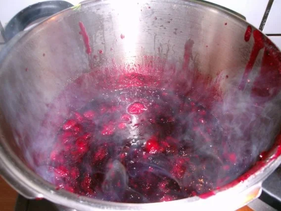Konfitüre=Schwarze Johannisbeere + Erdbeeren - Rezept - Bild Nr. 10
