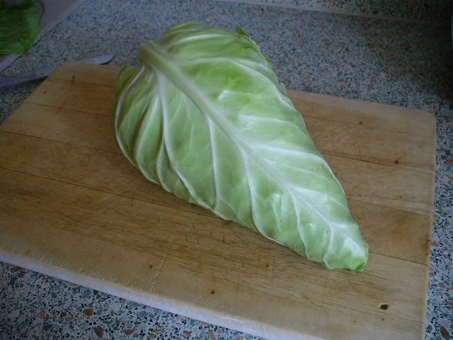 Spitzkohlrouladen mit Hackfleischfüllung - Rezept - Bild Nr. 2