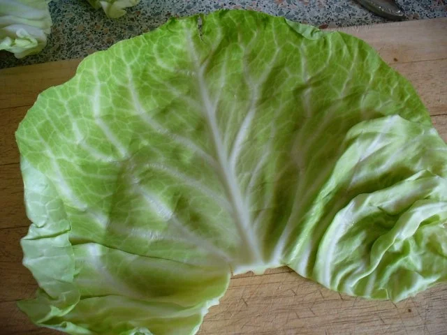 Spitzkohlrouladen mit Hackfleischfüllung - Rezept - Bild Nr. 3