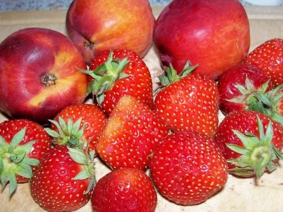 Rezept: Käse-Joghurt-Torte mit Nektarinen und Erdbeeren Bild Nr. 6 Käse-Joghurt-Torte mit Nektarinen und Erdbeeren - Rezept - Bild Nr. 6