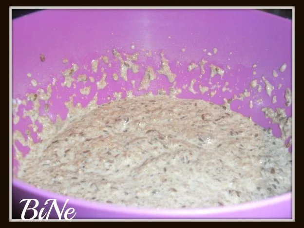 Rezept: BiNe` S LOW - CARB - BROT Bild Nr. 5 BiNe` S LOW - CARB - BROT - Rezept - Bild Nr. 5