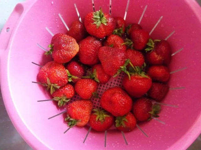 Erdbeerquark - Rezept - Bild Nr. 2