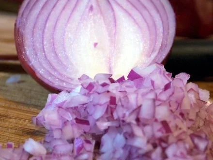 Rezept: Büffelmozzarella mit Melonen-Salsa Bild Nr. 4 Büffelmozzarella mit Melonen-Salsa - Rezept - Bild Nr. 4