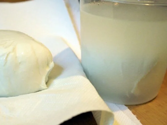 Rezept: Büffelmozzarella mit Melonen-Salsa Bild Nr. 9 Büffelmozzarella mit Melonen-Salsa - Rezept - Bild Nr. 9