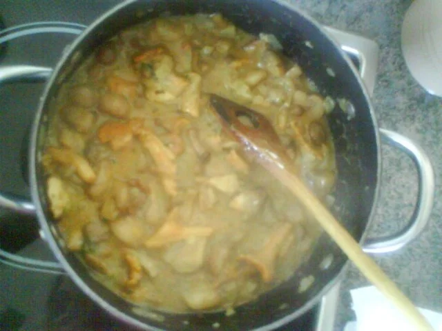 Pilzragout - Rezept - Bild Nr. 6