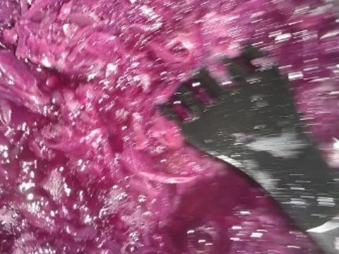 Rotkohl (2 fach zu verwendende Version) - Rezept - Bild Nr. 13