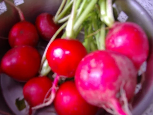 Radieschensalat mit Käse - Rezept - Bild Nr. 4