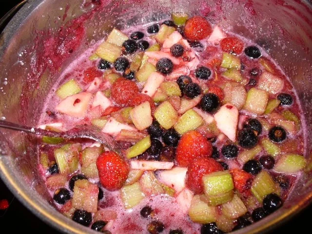 Rezept: Marmelade aus Früchtemix Bild Nr. 4 Marmelade aus Früchtemix - Rezept - Bild Nr. 4