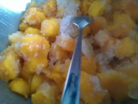 Rezept: Fresh Mangomix Eis Bild Nr. 9 Fresh Mangomix Eis - Rezept - Bild Nr. 9