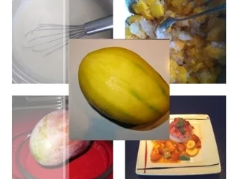 Rezept: Fresh Mangomix Eis Bild Nr. 12 Fresh Mangomix Eis - Rezept - Bild Nr. 12