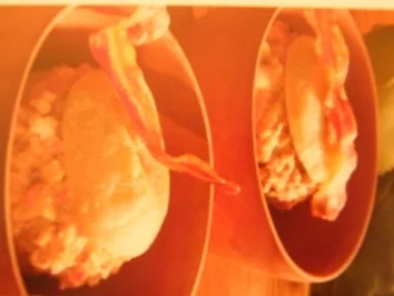 Gefüllte Kohlrabi - Rezept