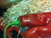 Mungosprossen mit Mango und Chilifäden - Rezept - Bild Nr. 7