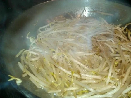 Rezept: Mungosprossen mit Mango und Chilifäden Bild Nr. 9 Mungosprossen mit Mango und Chilifäden - Rezept - Bild Nr. 9