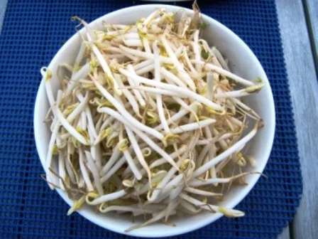 Rezept: Mungosprossen mit Mango und Chilifäden Bild Nr. 8 Mungosprossen mit Mango und Chilifäden - Rezept - Bild Nr. 8